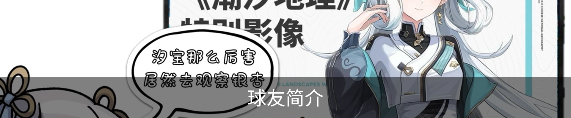 球友简介